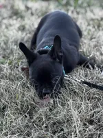 processed/b273cad6-38c4-44d9-a9c3-2a513c64d050/listing/d5c88e35-e7c8-4e2b-a880-327689e21ada/e9769417-4e3f-46b7-91f6-3f1445d7a6be