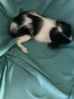 processed/b27b9245-52bb-4c05-b07f-3e7f8907aa89/listing/1b262470-01bc-4a9b-bcb2-f1023c729aaf/726b9399-e37f-44f0-bb37-36e28dfa241c