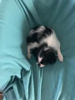 processed/b27b9245-52bb-4c05-b07f-3e7f8907aa89/listing/1b262470-01bc-4a9b-bcb2-f1023c729aaf/74faa652-d83d-4fee-ac53-436bc224c597