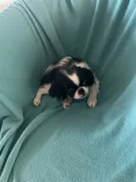 processed/b27b9245-52bb-4c05-b07f-3e7f8907aa89/listing/1b262470-01bc-4a9b-bcb2-f1023c729aaf/ffa19b31-7c9d-45b0-b596-260159366c4f