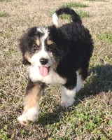 processed/b27c5c86-c3b7-4555-8192-caf5cd4d4021/facility/2787e301-2c20-40f2-99e5-0c9475c9d31b