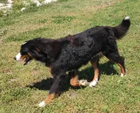 processed/b27c5c86-c3b7-4555-8192-caf5cd4d4021/facility/42d93f0d-83a7-4e9c-abcf-94478b48fdbd