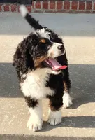 processed/b27c5c86-c3b7-4555-8192-caf5cd4d4021/facility/a07bc0bc-10b5-4cab-ad8d-9ee3fc2e117e