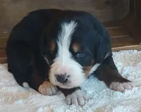 processed/b27c5c86-c3b7-4555-8192-caf5cd4d4021/facility/a87c9287-9c9c-4a9b-bf51-1be89f986e98