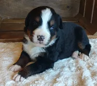 processed/b27c5c86-c3b7-4555-8192-caf5cd4d4021/facility/cea67946-277d-4cc2-8e78-bae2a420985b