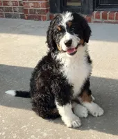 processed/b27c5c86-c3b7-4555-8192-caf5cd4d4021/facility/e905b7f9-3247-40f1-859d-5677c242e4e1