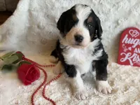 processed/b27c5c86-c3b7-4555-8192-caf5cd4d4021/listing/327bc4ad-b947-4141-96d5-65348c5675c2/1882b229-3bb5-4497-8e56-805a0c4f1883