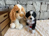 processed/b27c5c86-c3b7-4555-8192-caf5cd4d4021/listing/327bc4ad-b947-4141-96d5-65348c5675c2/34657d2b-f11b-440e-8c41-f92371043716