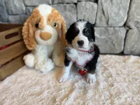 processed/b27c5c86-c3b7-4555-8192-caf5cd4d4021/listing/327bc4ad-b947-4141-96d5-65348c5675c2/494c0e62-f367-4da3-a2a6-9e3679ad58ee