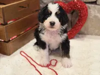 processed/b27c5c86-c3b7-4555-8192-caf5cd4d4021/listing/327bc4ad-b947-4141-96d5-65348c5675c2/6e4a1288-62c4-4ff7-b763-01bc27d6274f