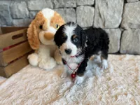 processed/b27c5c86-c3b7-4555-8192-caf5cd4d4021/listing/327bc4ad-b947-4141-96d5-65348c5675c2/708a8acd-794a-4104-8e3a-0172328c95e8