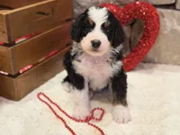 processed/b27c5c86-c3b7-4555-8192-caf5cd4d4021/listing/327bc4ad-b947-4141-96d5-65348c5675c2/78ef93eb-6f0f-4728-9f65-4f2dd21468f7