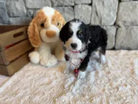 processed/b27c5c86-c3b7-4555-8192-caf5cd4d4021/listing/327bc4ad-b947-4141-96d5-65348c5675c2/d9952b3b-b954-4948-8ace-90a5e9673dea