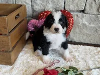 processed/b27c5c86-c3b7-4555-8192-caf5cd4d4021/listing/40c6b813-6b4f-49af-b7fb-d435a348ea63/46d3a0c2-207a-436f-a8d5-efb5684bbf03