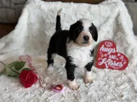 processed/b27c5c86-c3b7-4555-8192-caf5cd4d4021/listing/40c6b813-6b4f-49af-b7fb-d435a348ea63/4dbfa47f-4848-4e32-af48-419e98ffcc11