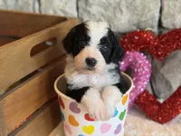 processed/b27c5c86-c3b7-4555-8192-caf5cd4d4021/listing/40c6b813-6b4f-49af-b7fb-d435a348ea63/53344add-a26c-4e8f-a17a-e80aa4865fa8