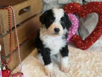 processed/b27c5c86-c3b7-4555-8192-caf5cd4d4021/listing/40c6b813-6b4f-49af-b7fb-d435a348ea63/6c3f419e-dbfd-4bff-85a2-749487020491