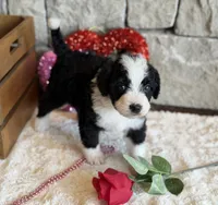 processed/b27c5c86-c3b7-4555-8192-caf5cd4d4021/listing/40c6b813-6b4f-49af-b7fb-d435a348ea63/800d65c3-e1b7-449d-b372-f7f2f4bf51e6