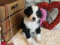 processed/b27c5c86-c3b7-4555-8192-caf5cd4d4021/listing/40c6b813-6b4f-49af-b7fb-d435a348ea63/dad1118a-df2d-4226-9fa5-89f24efd27d8