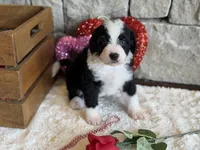 processed/b27c5c86-c3b7-4555-8192-caf5cd4d4021/listing/40c6b813-6b4f-49af-b7fb-d435a348ea63/edf81085-cfef-4d97-813a-a49299a906aa