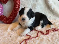 processed/b27c5c86-c3b7-4555-8192-caf5cd4d4021/listing/9deb3d81-1e77-441e-b916-0344b5e2c279/0f7d4d93-aec5-4181-9074-79aa1acb3b47