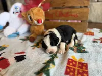 processed/b27c5c86-c3b7-4555-8192-caf5cd4d4021/listing/9deb3d81-1e77-441e-b916-0344b5e2c279/44386b62-d290-4d54-9df2-6926e3a53ccb