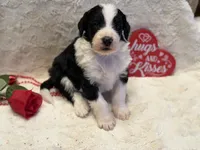 processed/b27c5c86-c3b7-4555-8192-caf5cd4d4021/listing/9deb3d81-1e77-441e-b916-0344b5e2c279/765b305f-0229-4067-8397-2ae1370249bf