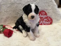 processed/b27c5c86-c3b7-4555-8192-caf5cd4d4021/listing/9deb3d81-1e77-441e-b916-0344b5e2c279/acfa343a-91dc-4e01-b8ec-07a68bb04009