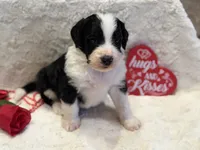 processed/b27c5c86-c3b7-4555-8192-caf5cd4d4021/listing/9deb3d81-1e77-441e-b916-0344b5e2c279/f7f7a643-c652-4500-afa1-f1604b264281