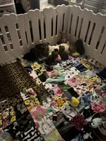Facility photo