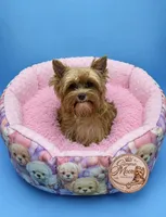 Willow, a female Yorkshire Terrier for sale in Knoxville, TN – 2 of 6