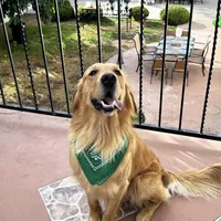 processed/b287aae1-6bae-4dc3-b951-dd52b3f9ae3c/facility/276c43a2-bf7b-4ce9-842f-eb68ed8db3e9