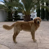 processed/b287aae1-6bae-4dc3-b951-dd52b3f9ae3c/facility/3797b8b8-25df-4f45-a75e-ae2b3703fc49