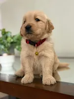 processed/b287aae1-6bae-4dc3-b951-dd52b3f9ae3c/listing/a871402d-ba21-4f38-b296-0032e80b63e6/0a4319cf-d872-475d-847a-fd74640396f6