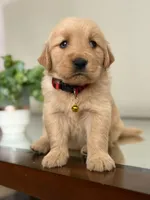 processed/b287aae1-6bae-4dc3-b951-dd52b3f9ae3c/listing/a871402d-ba21-4f38-b296-0032e80b63e6/0f4b6d44-58cb-4515-88ba-b0ccab8e4c3a