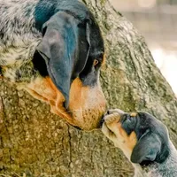 processed/b28a1f63-9fad-4c1d-803a-a1be5f8033b0/facility/051e73dc-2aa6-4412-aa20-1803e4b7464b