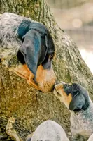 processed/b28a1f63-9fad-4c1d-803a-a1be5f8033b0/facility/051e73dc-2aa6-4412-aa20-1803e4b7464b