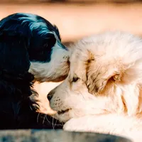 processed/b28a1f63-9fad-4c1d-803a-a1be5f8033b0/facility/0d2ab238-9ef2-413a-8ab8-ed73572bfacd