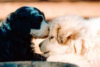 processed/b28a1f63-9fad-4c1d-803a-a1be5f8033b0/facility/0d2ab238-9ef2-413a-8ab8-ed73572bfacd