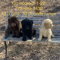 processed/b28a1f63-9fad-4c1d-803a-a1be5f8033b0/facility/2acf9c63-e9a3-4383-9bb9-5a6f2362471d