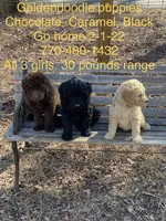 processed/b28a1f63-9fad-4c1d-803a-a1be5f8033b0/facility/2acf9c63-e9a3-4383-9bb9-5a6f2362471d