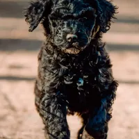 processed/b28a1f63-9fad-4c1d-803a-a1be5f8033b0/facility/48679a80-f285-4427-adeb-d569beb7335d