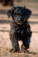 processed/b28a1f63-9fad-4c1d-803a-a1be5f8033b0/facility/48679a80-f285-4427-adeb-d569beb7335d