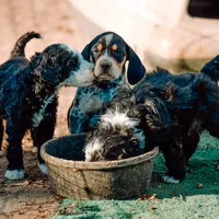 processed/b28a1f63-9fad-4c1d-803a-a1be5f8033b0/facility/75379e7e-4399-4783-b824-f16e6ff4aeec