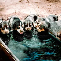 processed/b28a1f63-9fad-4c1d-803a-a1be5f8033b0/facility/7cf8fddc-22c1-4e29-b663-d63d8bc36555