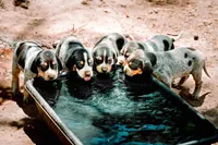 processed/b28a1f63-9fad-4c1d-803a-a1be5f8033b0/facility/7cf8fddc-22c1-4e29-b663-d63d8bc36555