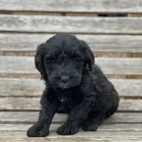 processed/b28a1f63-9fad-4c1d-803a-a1be5f8033b0/facility/8ae45d85-09d1-445c-91cf-eff80f07771c