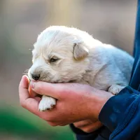 processed/b28a1f63-9fad-4c1d-803a-a1be5f8033b0/facility/8c19fe2d-1fe1-4d64-b731-7c90988b6596