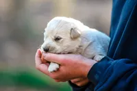 processed/b28a1f63-9fad-4c1d-803a-a1be5f8033b0/facility/8c19fe2d-1fe1-4d64-b731-7c90988b6596