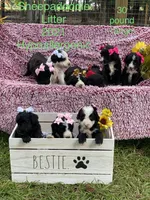 processed/b28a1f63-9fad-4c1d-803a-a1be5f8033b0/facility/a8902e25-c0ce-401e-90e2-920bda12e340